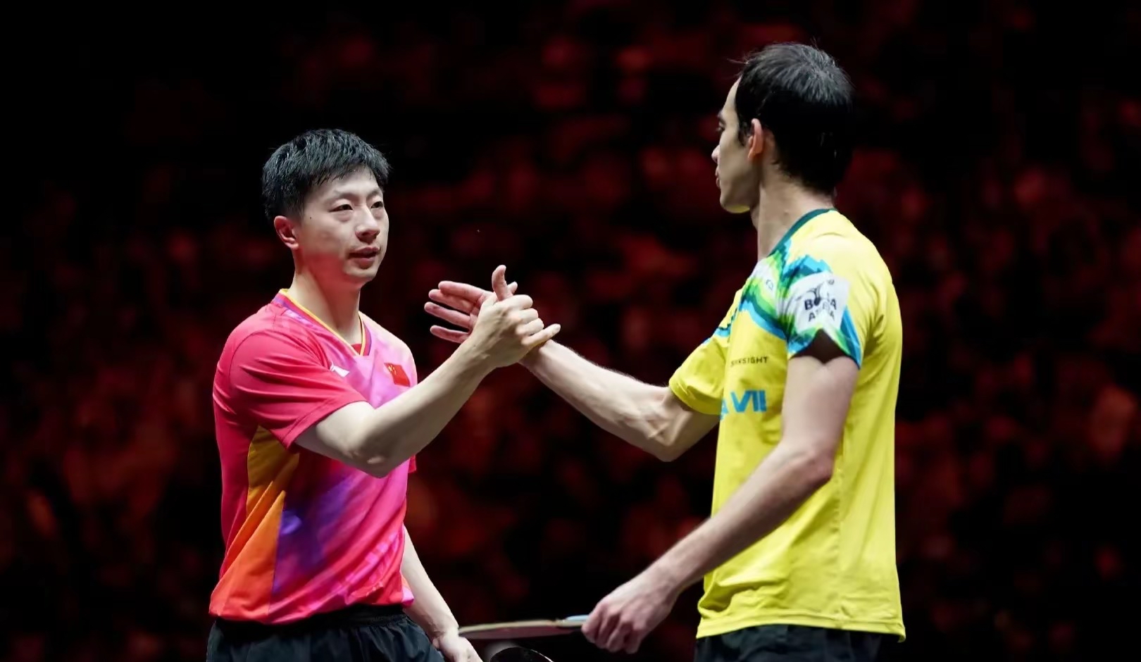 瑞典队鏖战法国队,马龙惊艳四座的简单介绍 瑞典队鏖战法国队,马龙惊艳四座的简单介绍