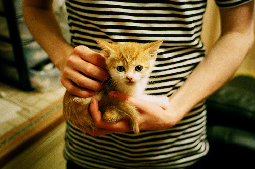 马德里不相信眼泪，但相信奇迹，一场跨越现实的足球史诗