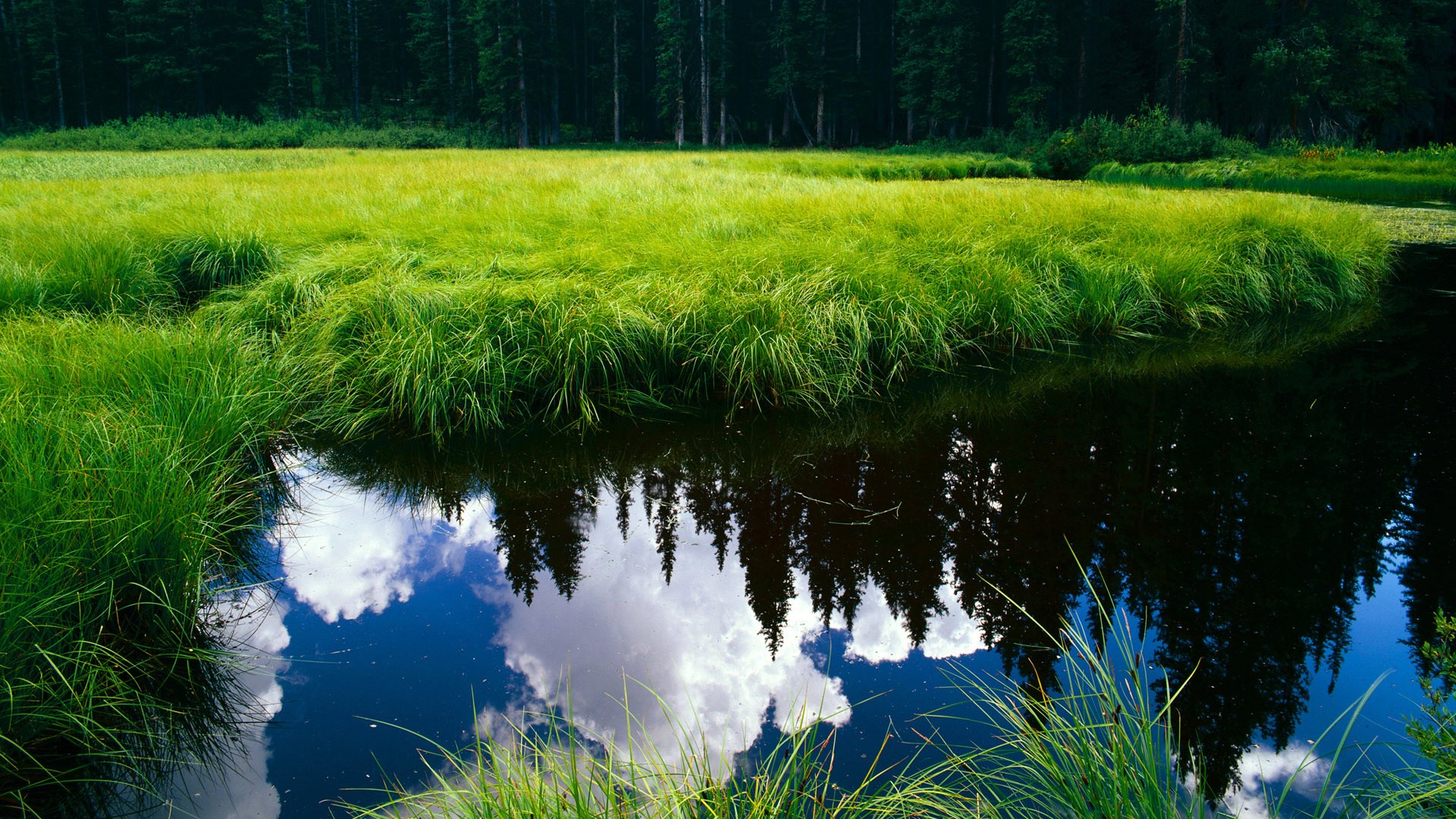 爱游戏大厅-跨界交锋，山西队惊险击败灰熊，德罗赞意甲赛场独揽风云