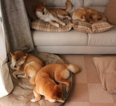 加冕之战,深圳绝杀王朝的180秒