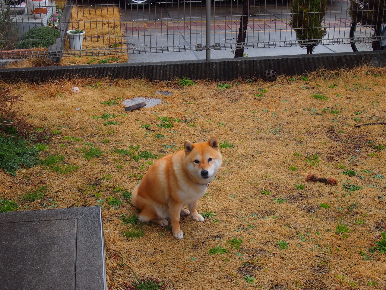 街巷间的奇迹工程师，戈麦斯如何将城市脉络驯为胜利坦途