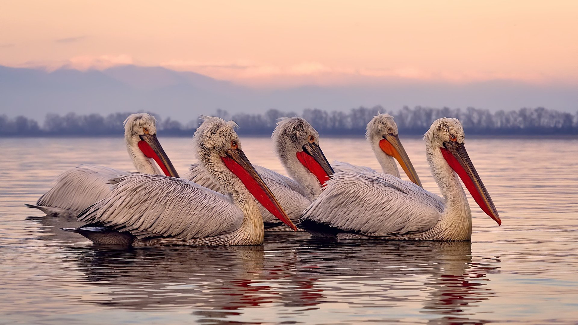 37岁的国王与22岁的铁骑,当爆冷成为骑士归来的注脚
