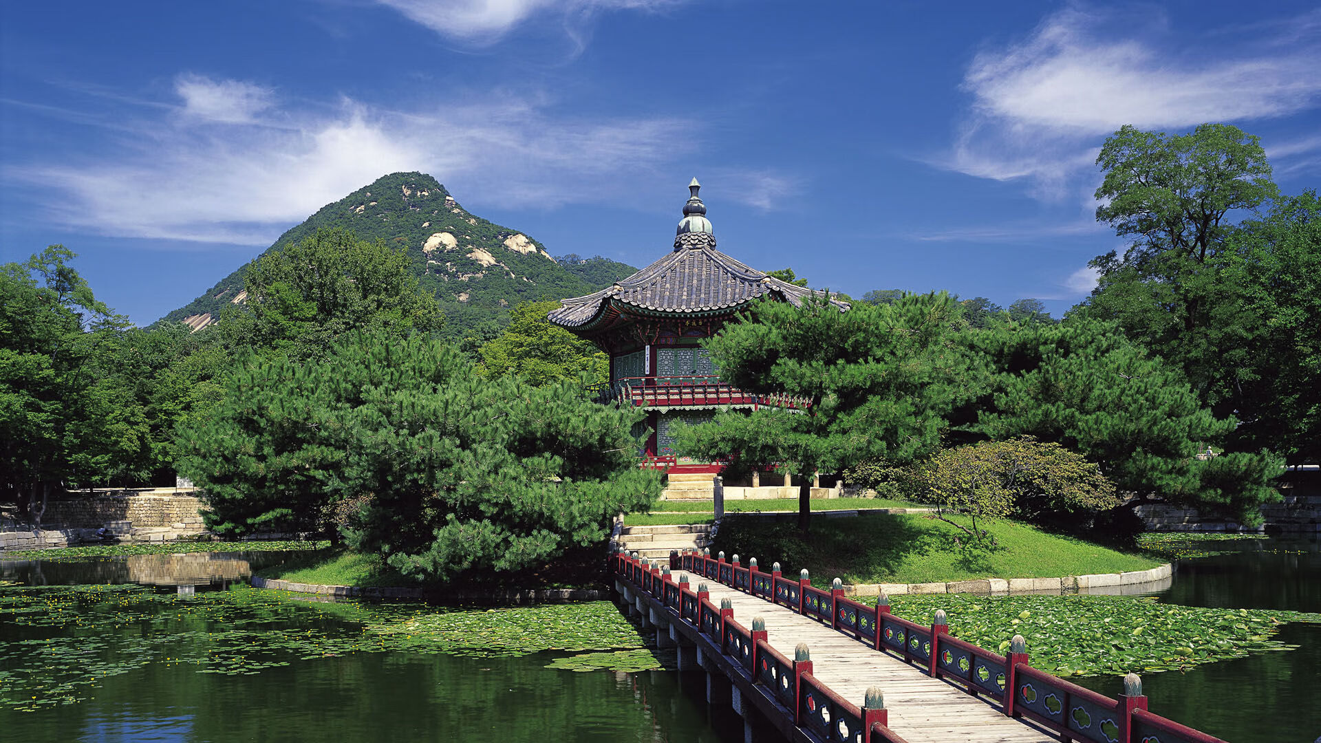 从CBA到世界杯,吉林队击溃深圳队后,马克西在2026年接管比赛