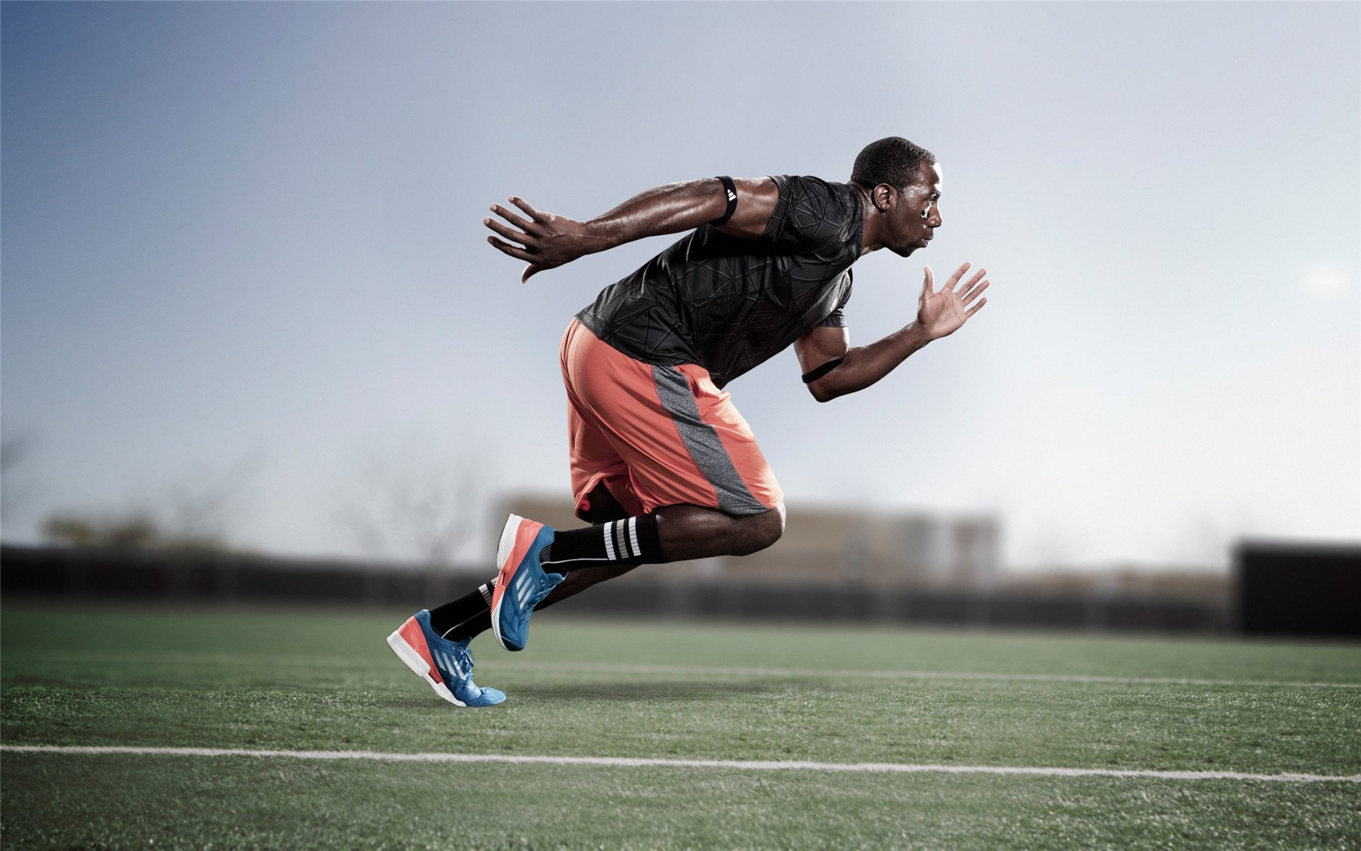 翡冷翠的炼金术，当文艺复兴的光刺穿黄金沙漠