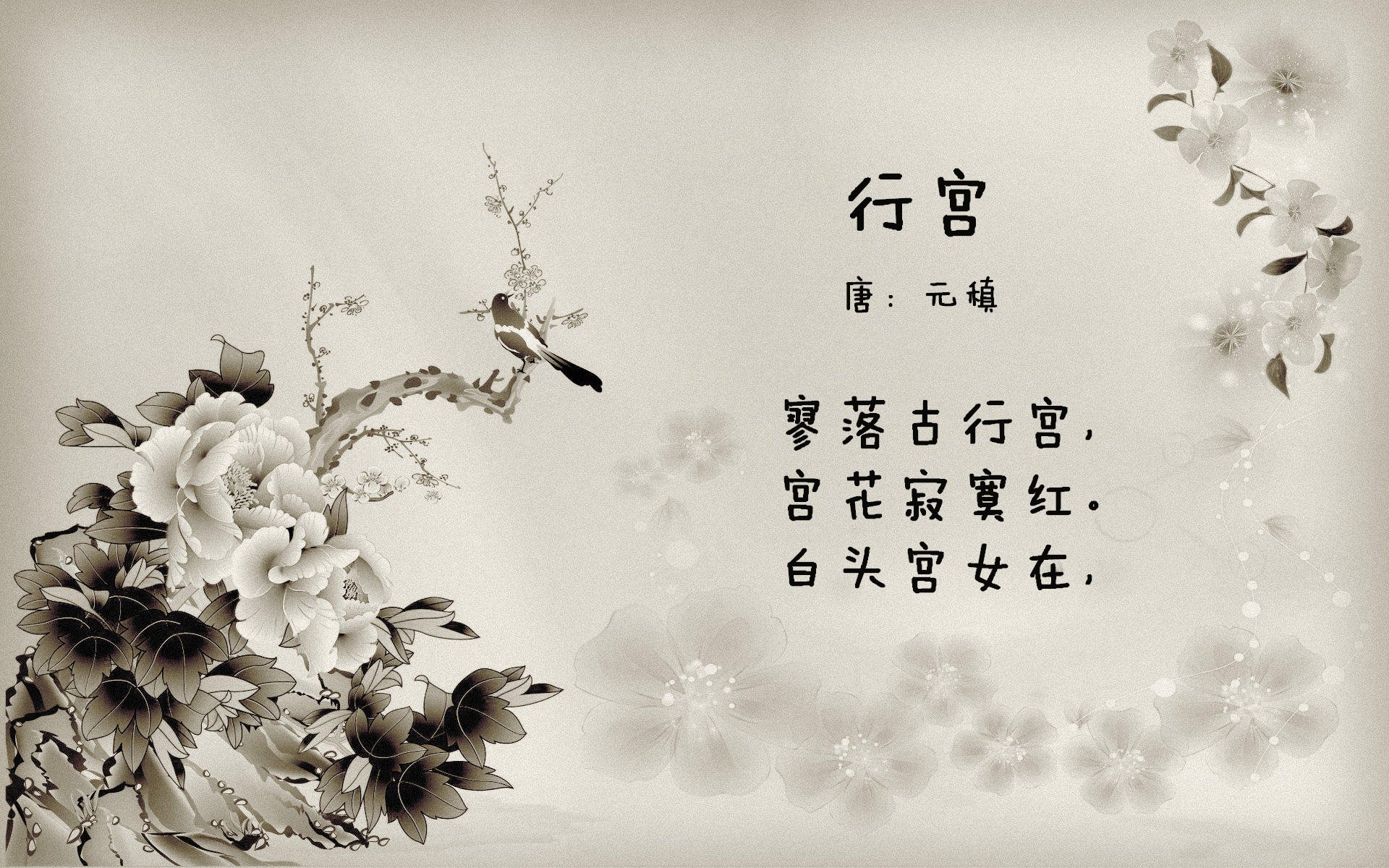 东决关键战之夜，库里如何统治了战场？