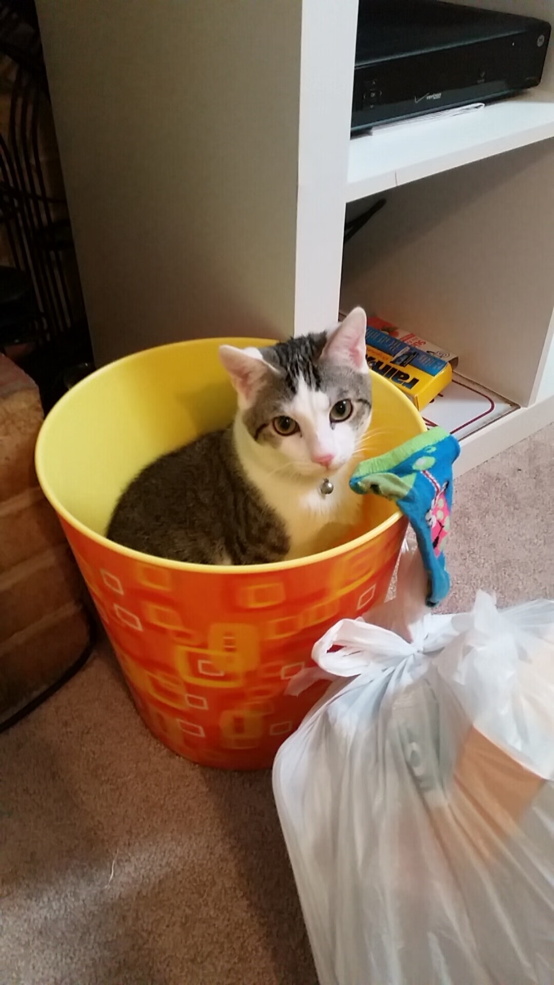 局外人点亮德比之夜，当坎特在伯纳乌绘制冠军地图