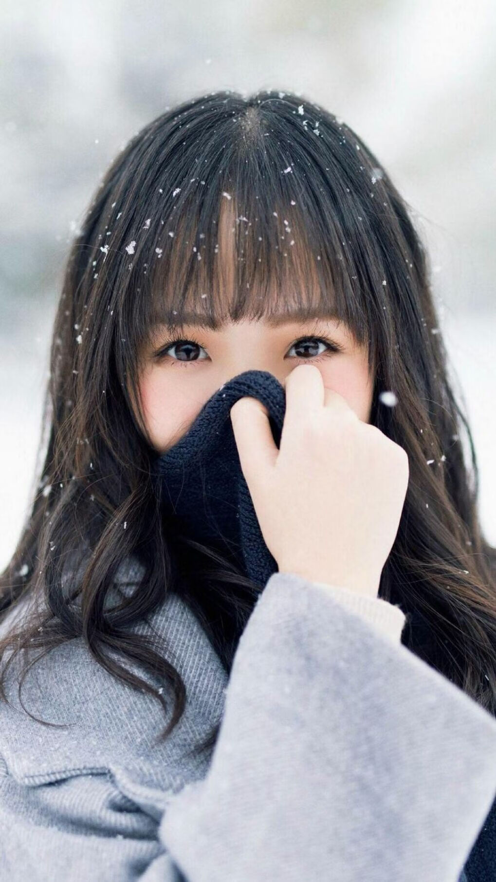 铁蹄与蜂鸣器，当爵士铁律与利拉德时刻在速度圣殿共振