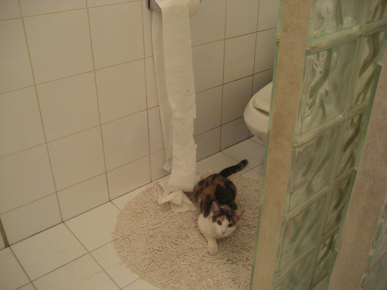 冰与火的对决，杜兰特一锤定音，骑士压哨绝杀点燃寒冬