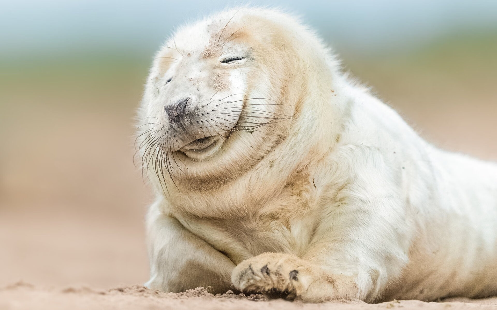 猛龙利爪撕裂体系，东方巨龙压制西方神话，西亚卡姆主宰比赛走向，辽宁队强压勇士