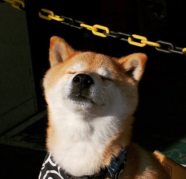 爱游戏娱乐-国家队冷门激活俱乐部巨星，奥亚尔萨瓦尔在意甲焦点战接管比赛