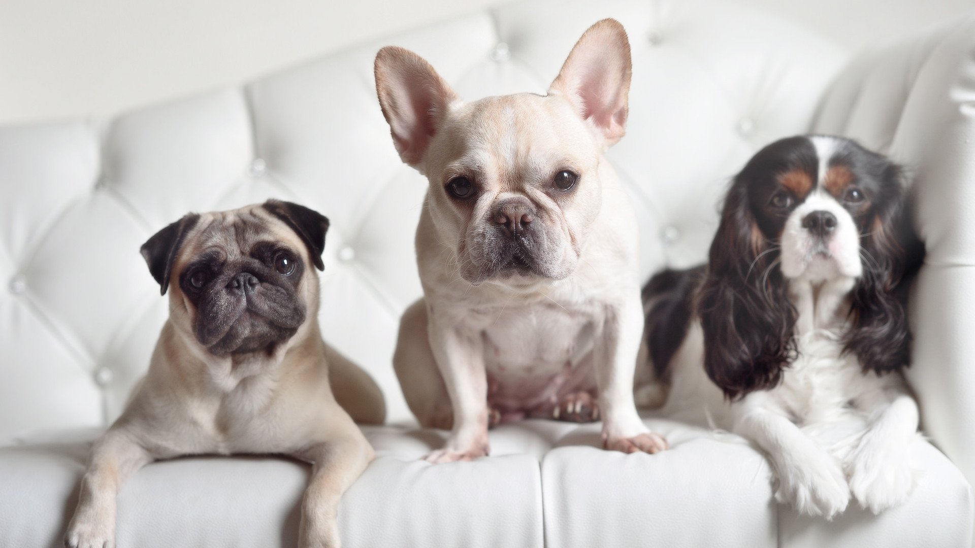 爱游戏在线-虚拟对阵爆冷！三笘薰压力下爆发，导演国际米兰险胜洪都拉斯之谜