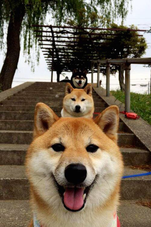 虚拟对阵爆冷！三笘薰压力下爆发，导演国际米兰险胜洪都拉斯之谜