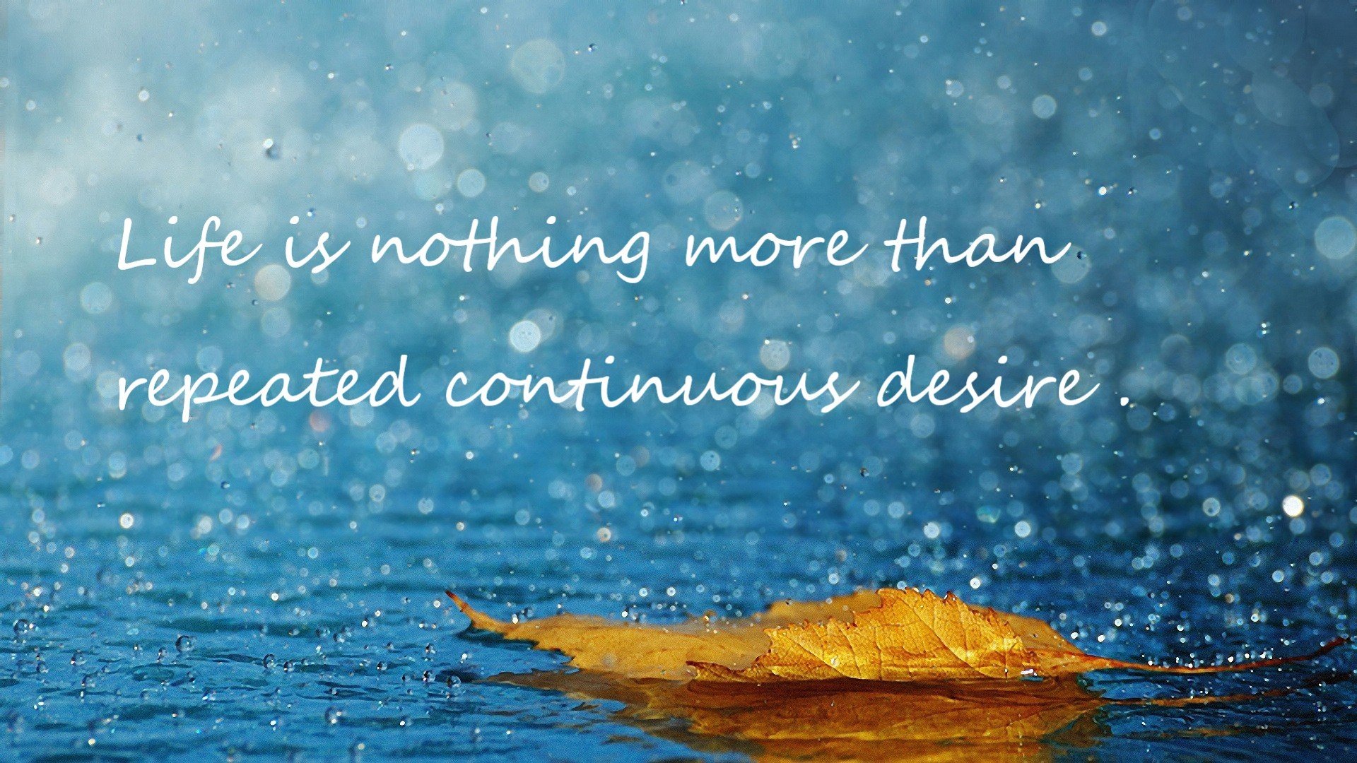 爱游戏在线-最意外的救世主！文班亚马死亡封盖库里，一球定乾坤改写快船命运