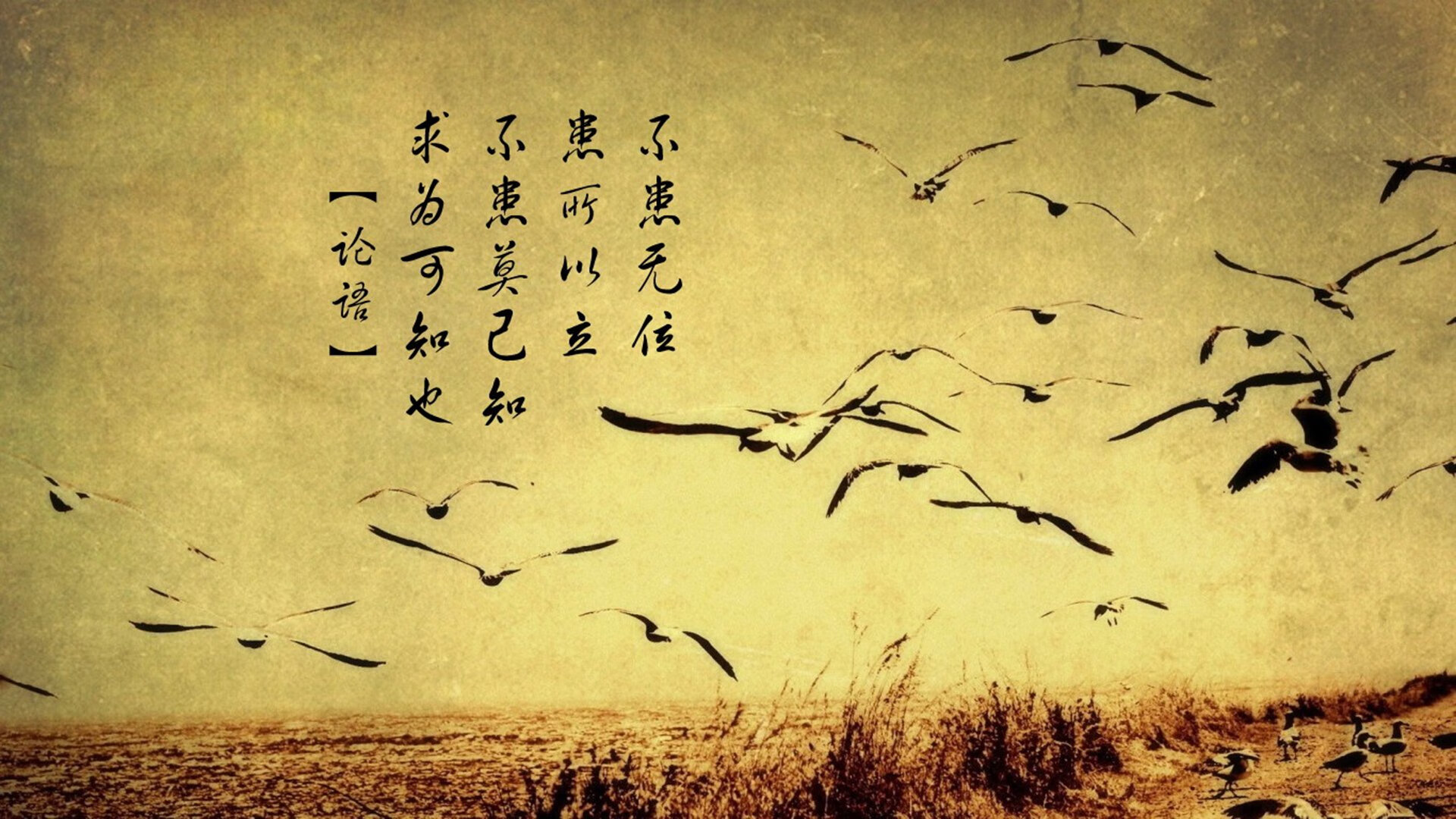 这是一个非常有戏剧性的关键词组合,充满了既定的结果(荷兰横扫)与突发的意外(巴西球员罗德里戈对厄瓜多尔完成致命一击)这背后可以引申出平行宇宙、战术意外或者战略误判等深刻主题