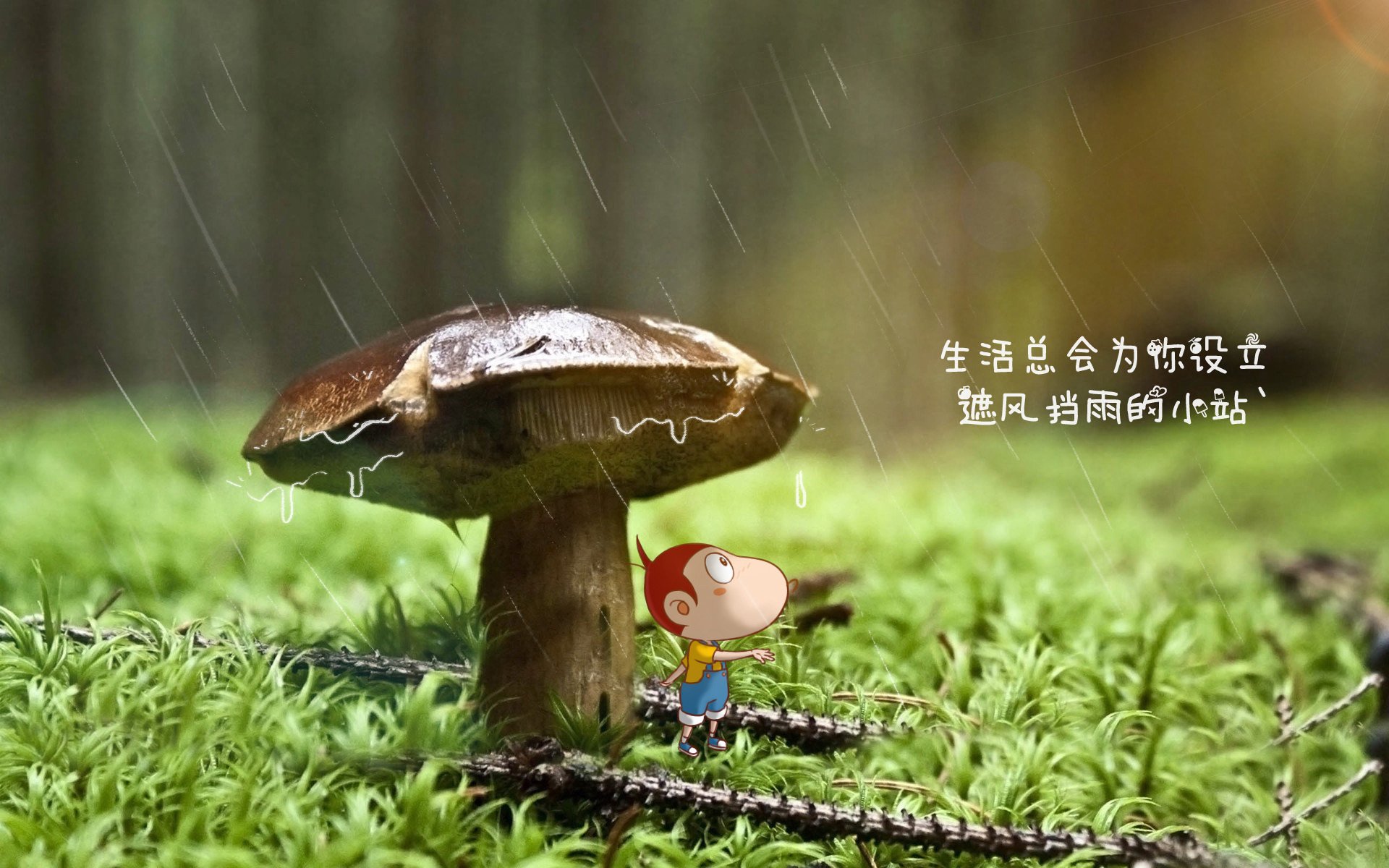 魔笛绝响与东方旋风，2026世界杯出线战，克罗地亚的坚韧与三笘薰的独舞